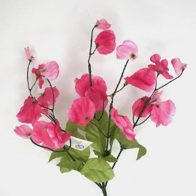 Cerise Sweetpea Bush 36cm