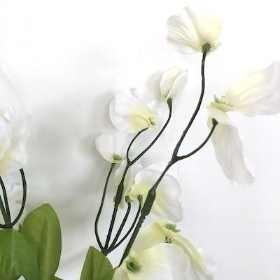 Ivory Sweetpea Bush 36cm