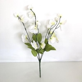 Ivory Sweetpea Bush 36cm