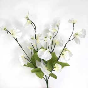Ivory Sweetpea Bush 36cm