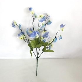 Blue Sweetpea Bush 36cm