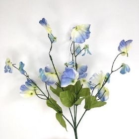 Blue Sweetpea Bush 36cm