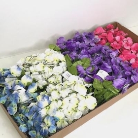 48 x Assorted Sweetpea Bush 36cm