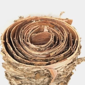 Birch Bark Roll 3m
