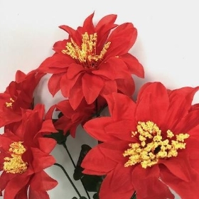 Red Zinnia Bush 33cm