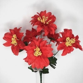 Red Zinnia Bush 33cm