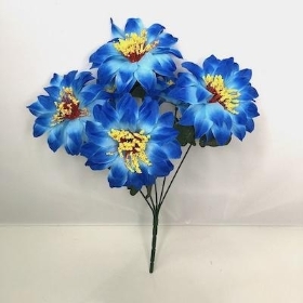 Blue Zinnia Bush 33cm