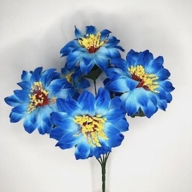 Blue Zinnia Bush 33cm