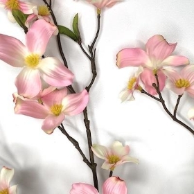 Pale Pink Dogwood 80cm