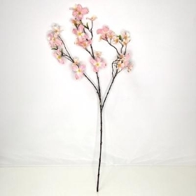 Pale Pink Dogwood 80cm