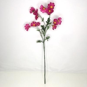 Cerise Wild Cosmos 75cm
