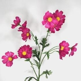 Cerise Wild Cosmos 75cm