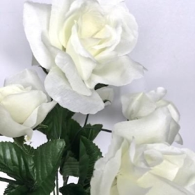 White Rose Bush 32cm