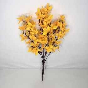 Dark Yellow Forsythia Bush 48cm