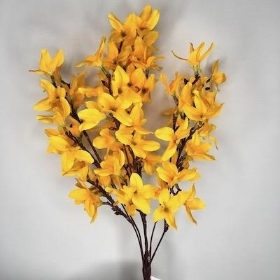 Dark Yellow Forsythia Bush 48cm