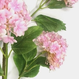 Pale Pink Viburnum Spray 93cm