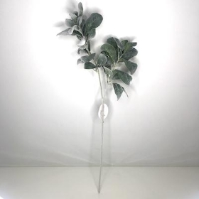 Green Lambs Ear 70cm 