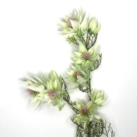 Light Green Leucadendron 66cm