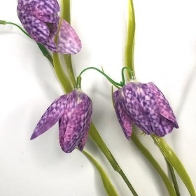 Purple Fritillaria 57cm