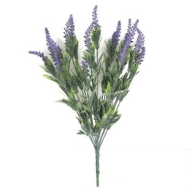 Lilac Frosted Lavender Bush 50cm