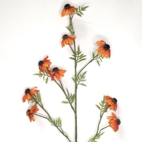 Orange Black Eyed Susan 108cm