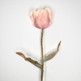 Dusky Pink Tulip 70cm