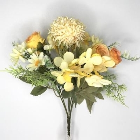 Yellow Mini Rose Mix Bush 30cm