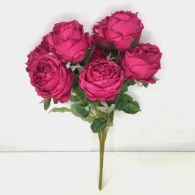 Cerise Peony Rose Bush 50cm