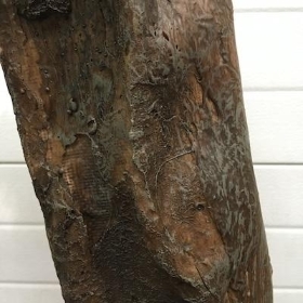 Canopy Tree Trunk 2.5m