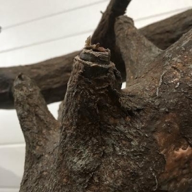 Canopy Tree Trunk 2.5m