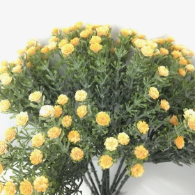 Golden Frosted Gyp Bundle 34cm