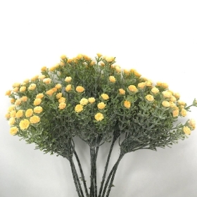 Golden Frosted Gyp Bundle 34cm