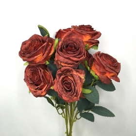 Russet Rose Bush 43cm