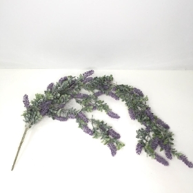 Trailing Lavender 100cm