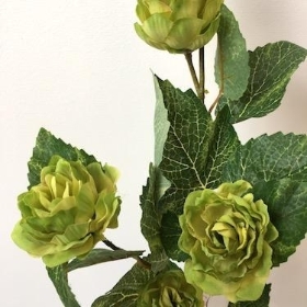 Hop Spray 76cm