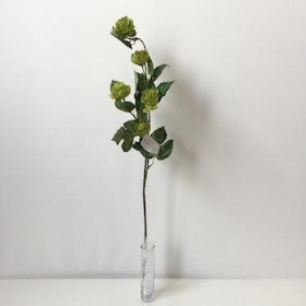 Hop Spray 76cm