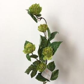 Hop Spray 76cm