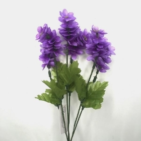 Purple Double Lavender Bush 24cm