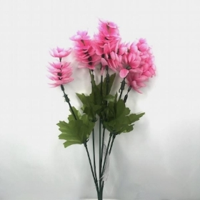Pink Double Lavender Bush 24cm