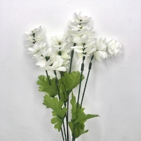 White Double Lavender Bush 24cm