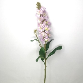 Lavender Stocks 66cm