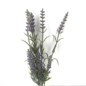 Mini Lavender Bundle 27cm