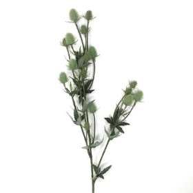 Green Thistle Spray 80cm