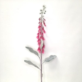 Cerise Foxglove 120cm