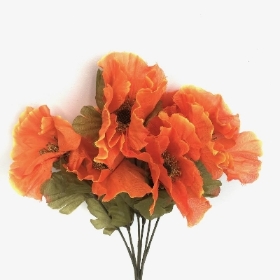 Orange Autumn Poppy Bush 32cm