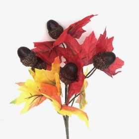 Red Autumn Acorn Bush 30cm
