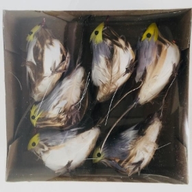 Feathered Thrush 13cm x 6