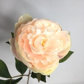 Pale Pink Peony 62cm