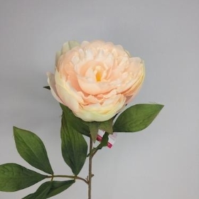 Pale Pink Peony 62cm
