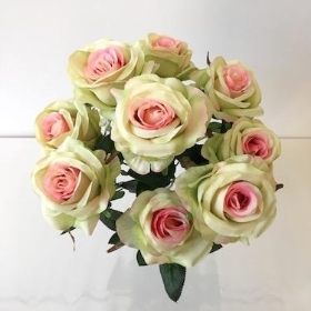Medium Green And Pink Rose x 9 Heads 